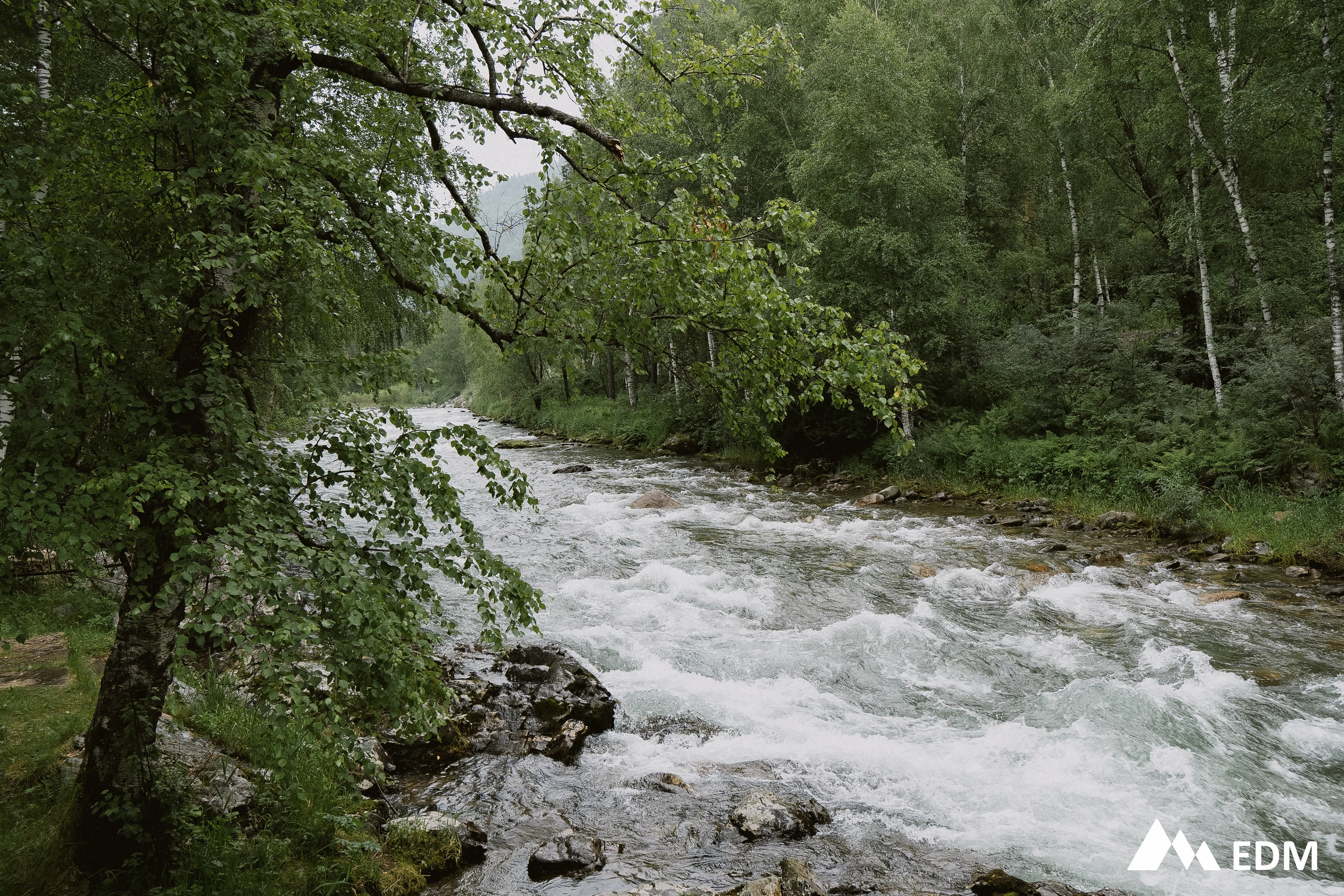 фотография: В. Жарковская