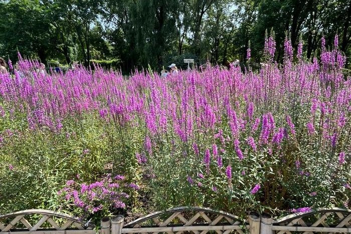 фотография: Предоставлено участниками стажировки 